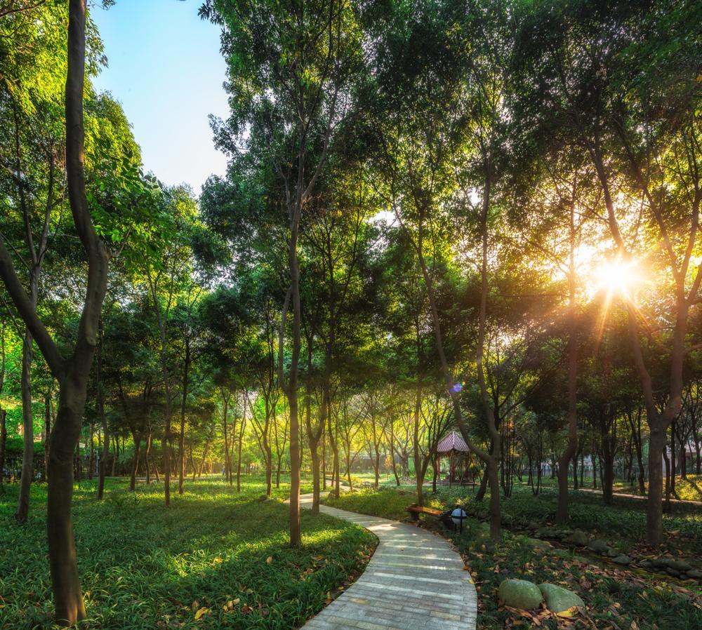 Chengdu Wangjiang Hotel Ngoại thất bức ảnh